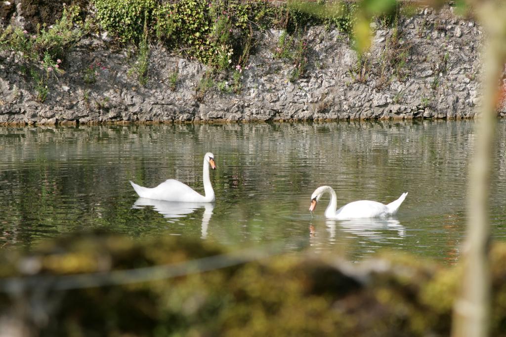 Les Douves Bed & Breakfast 2*
