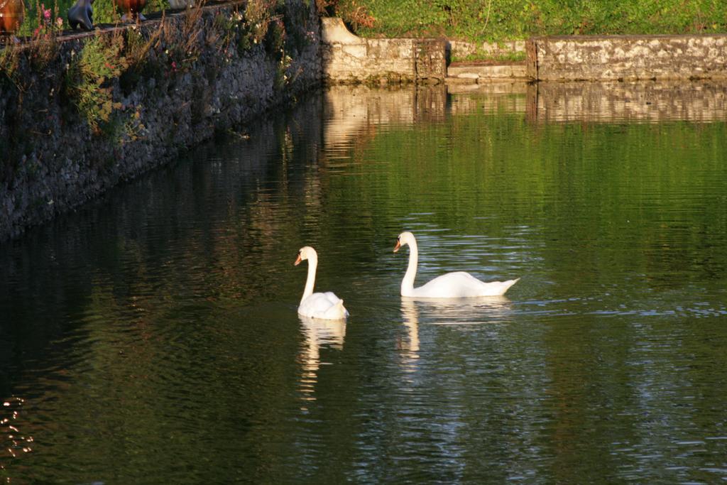 Bed & Breakfast Les Douves Onzain