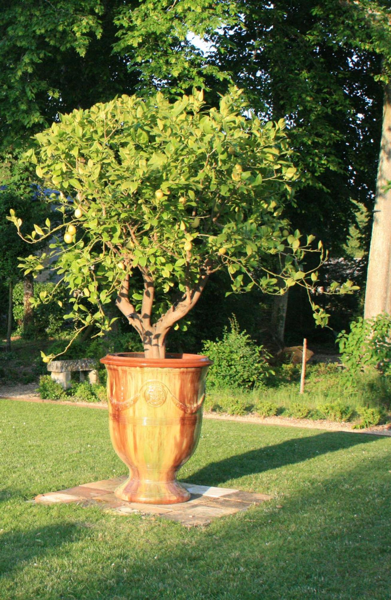 Les Douves Bed & Breakfast