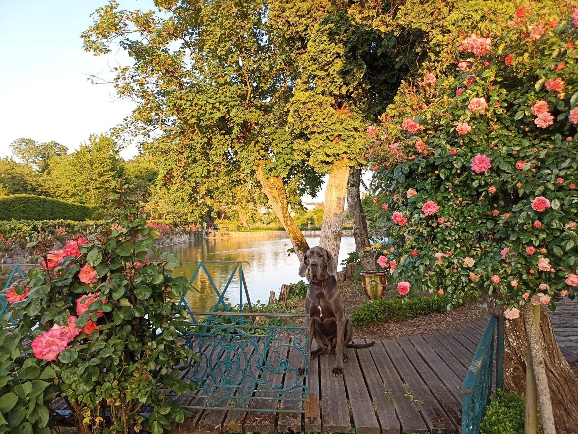 Les Douves Bed & Breakfast